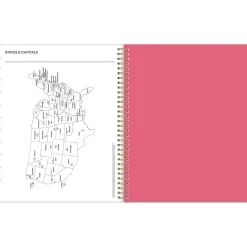 Blue Sky 2025 Amalia 8.5