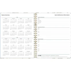 Blue Sky 2024-2025 Aminah Rose 8.5