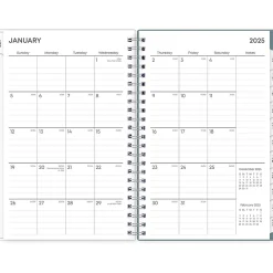 Blue Sky 2025 Amitza Blue 5