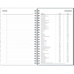 Blue Sky 2025 Amitza Blue 5