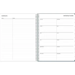 Blue Sky 2025 Amitza Blue 8.5