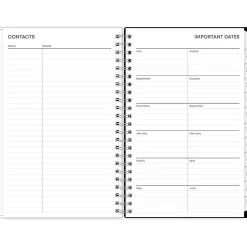 Blue Sky 2024-2025 Analeis 5