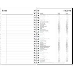 Blue Sky 2024-2025 Analeis 5