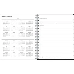 Blue Sky 2025 Analeis 8