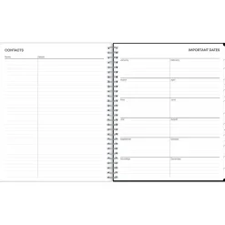 Blue Sky 2025 Analeis 8