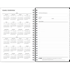 Blue Sky 2025 Analeis 5