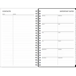 Blue Sky 2025 Analeis 5