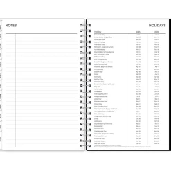 Blue Sky 2025 Analeis 5