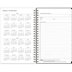 Blue Sky 2025 Ashley G Small Dots 5