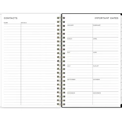 Blue Sky 2025 Ashley G Small Dots 5