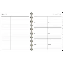 Blue Sky 2025 Baccara Dark 8