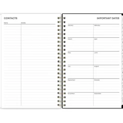 Blue Sky 2025 Baccara Dark 5