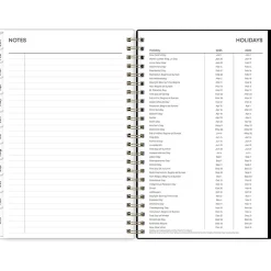 Blue Sky 2025 Baccara Dark 5