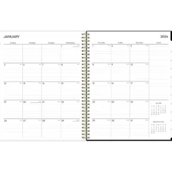 Blue Sky 2025 Baccara Dark 8.5