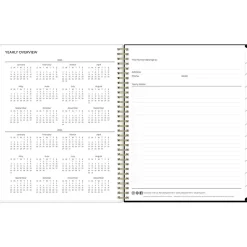 Blue Sky 2025 Baccara Dark 8.5