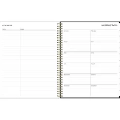 Blue Sky 2025 Baccara Dark 8.5