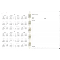 Blue Sky 2024-2025 Belinda Selene Lucy 8.5