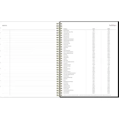 Blue Sky 2024-2025 Belinda Selene Lucy 8.5