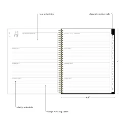 Blue Sky 2024-2025 Belinda Selene Lucy 8.5