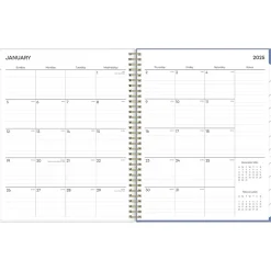 Blue Sky 2025 Cocorrina 8.5