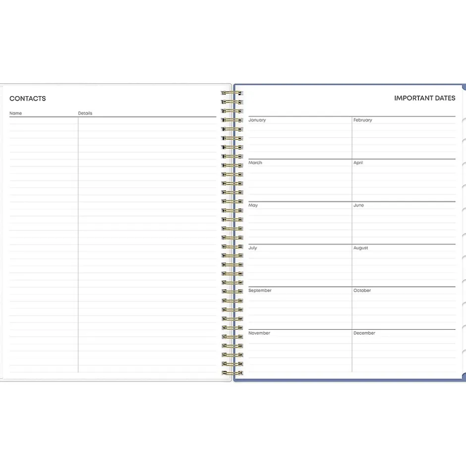 Blue Sky 2025 Cocorrina 8.5" x 11" Weekly & Monthly Planner, Plastic Cover, Multicolor (143696-25) Online