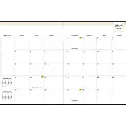 Blue Sky 2025 Day Designer 8