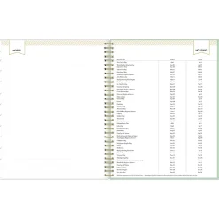 Blue Sky 2025 Day Designer Arcadia 8.5