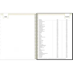 Blue Sky 2025 Day Designer Austen 8.5