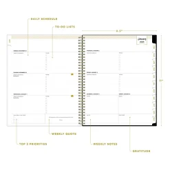 Blue Sky 2025 Day Designer Austen 8.5