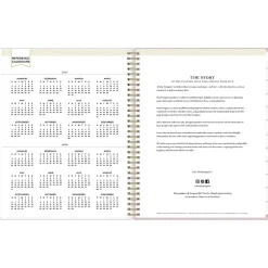 Blue Sky 2025 Day Designer Breeze 8.5