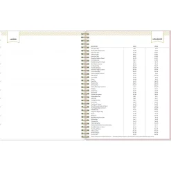 Blue Sky 2025 Day Designer Breeze 8.5