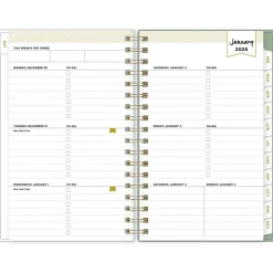 Blue Sky 2025 Day Designer Felicity 3.63" x 6.13" Weekly & Monthly Planner, Plastic Cover, Multicolor (152223) Hot
