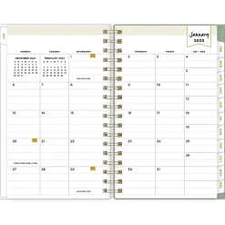 Blue Sky 2025 Day Designer Felicity 3.63