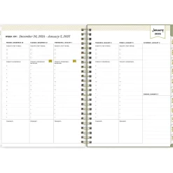 Blue Sky 2025 Day Designer Fiore 5.88" x 8.63" Weekly & Monthly Planner, Plastic Cover, Multicolor (148141) Online