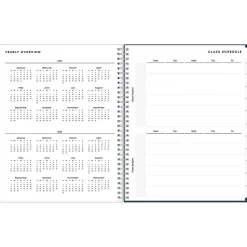 Blue Sky 2024-2025 Decosta Blue 8.5