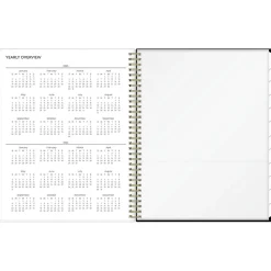 Blue Sky 2025 Deelie 8.5