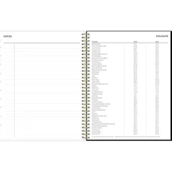 Blue Sky 2025 Deelie 8.5