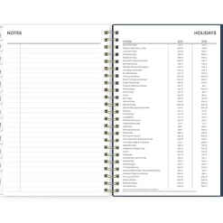 Blue Sky 2025 Dellania 5