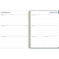 Blue Sky 2025 Dellania 8.5" x 11" Weekly & Monthly Planner, Plastic Cover, Multicolor (148212) Online