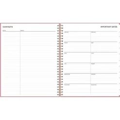 Blue Sky 2025 Dusty Rose 8