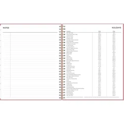 Blue Sky 2025 Dusty Rose 8