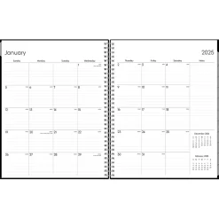 Blue Sky 2025 Enterprise 8.5