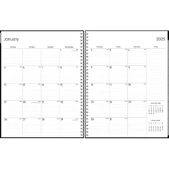 Blue Sky 2025 Enterprise 8.5