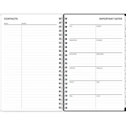 Blue Sky 2024-2025 Fabiana 5