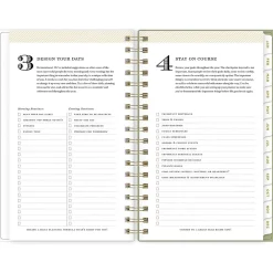 Blue Sky 2025 Fiore Cream 3.63