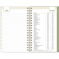 Blue Sky 2025 Fiore Cream 3.63