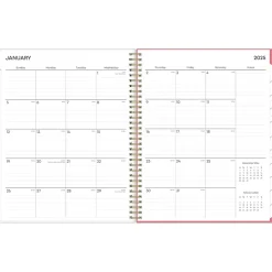 Blue Sky 2025 Fly By 8.5