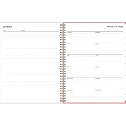 Blue Sky 2025 Fly By 8.5