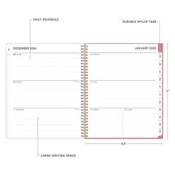 Blue Sky 2025 Fly By 8.5