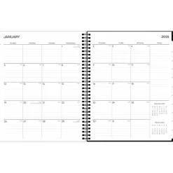 Blue Sky 2025 Fran 8.5